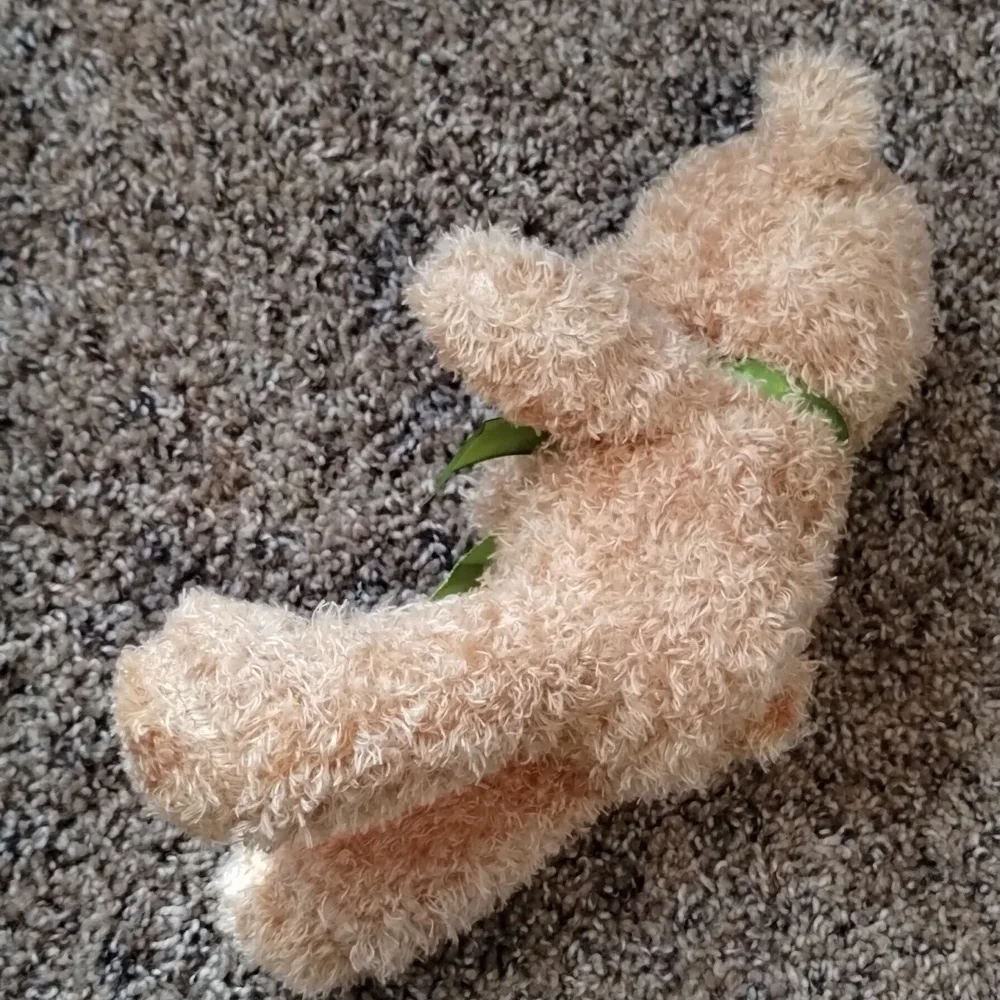 Small Teddy Bear